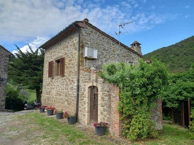 Prodej venkovské usedlosti s vinicí a zahradou, Montecatini Val di Cecina, Toskánsko, ITA